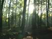 Spessart