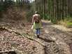 Spessart im Herbst