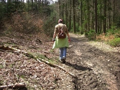Spessart im Herbst