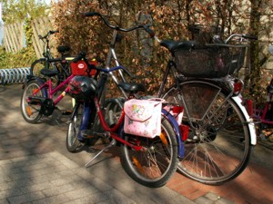 Radwanderung Rast