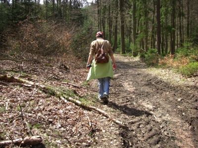 Spessart im Herbst Spessart im Herbst