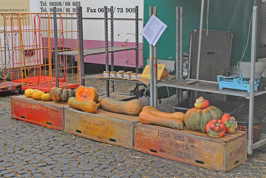 Kürbisse liegen auf Holzkisten an einem Wochenmarktstand in Offenbach.