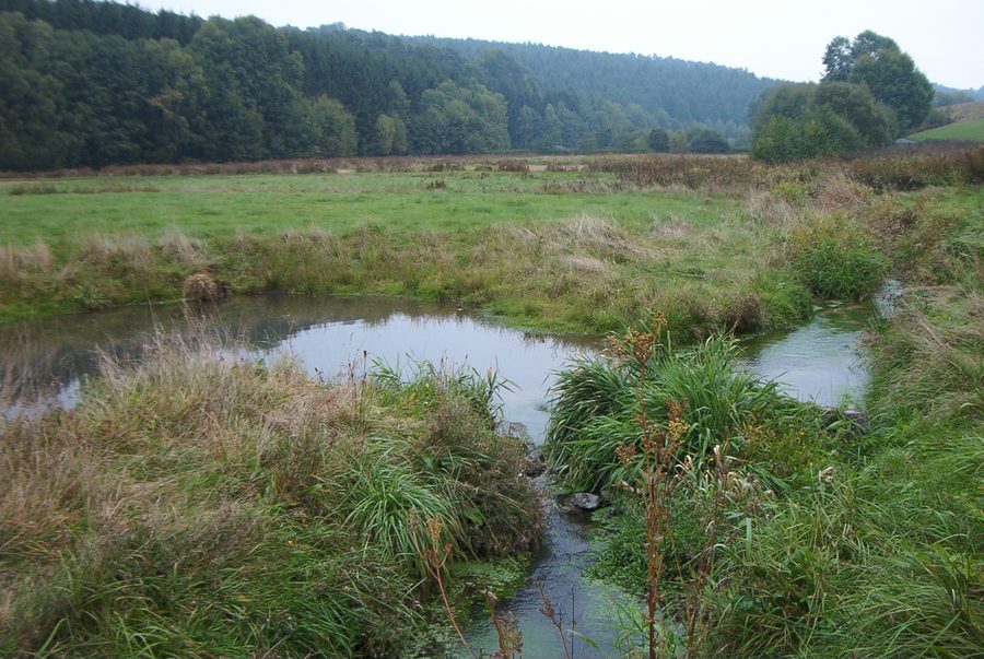 Wetschaft river in the Henzeried near Rosenthal-Roda, Germany