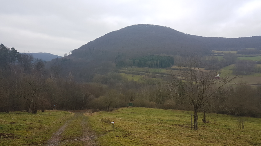 Panoramablick auf den bewaldeten Stoppelsberg bei Weichersbach im hessischen Sinntal
