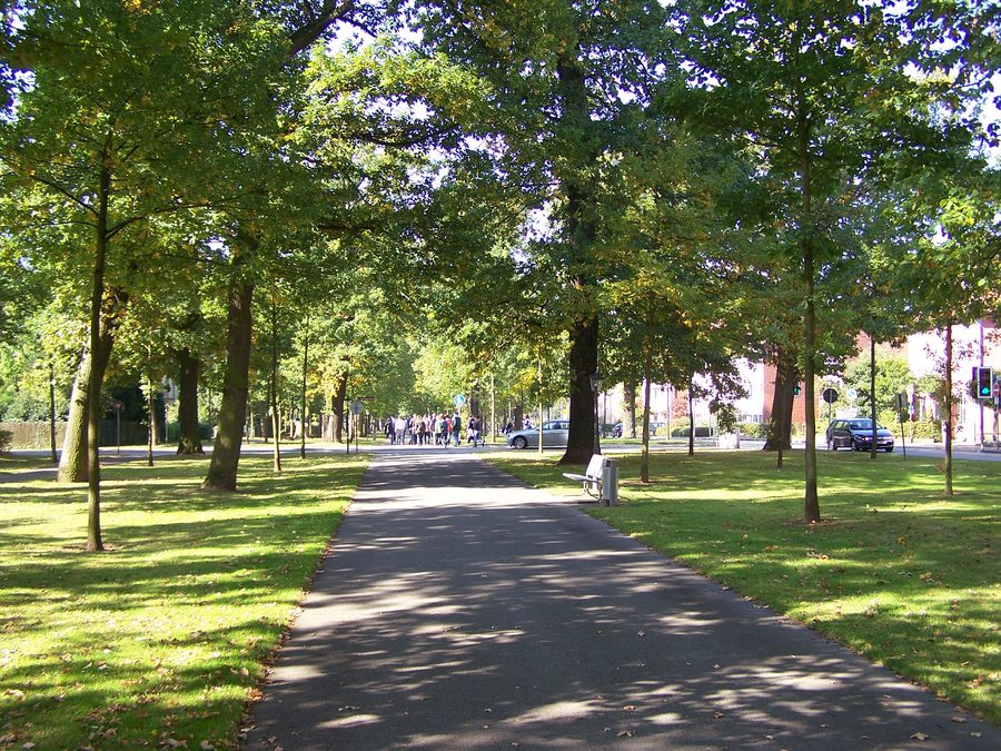 Große Allee in Bad Arolsen mit einer langen, von Eichen gesäumten Baumallee