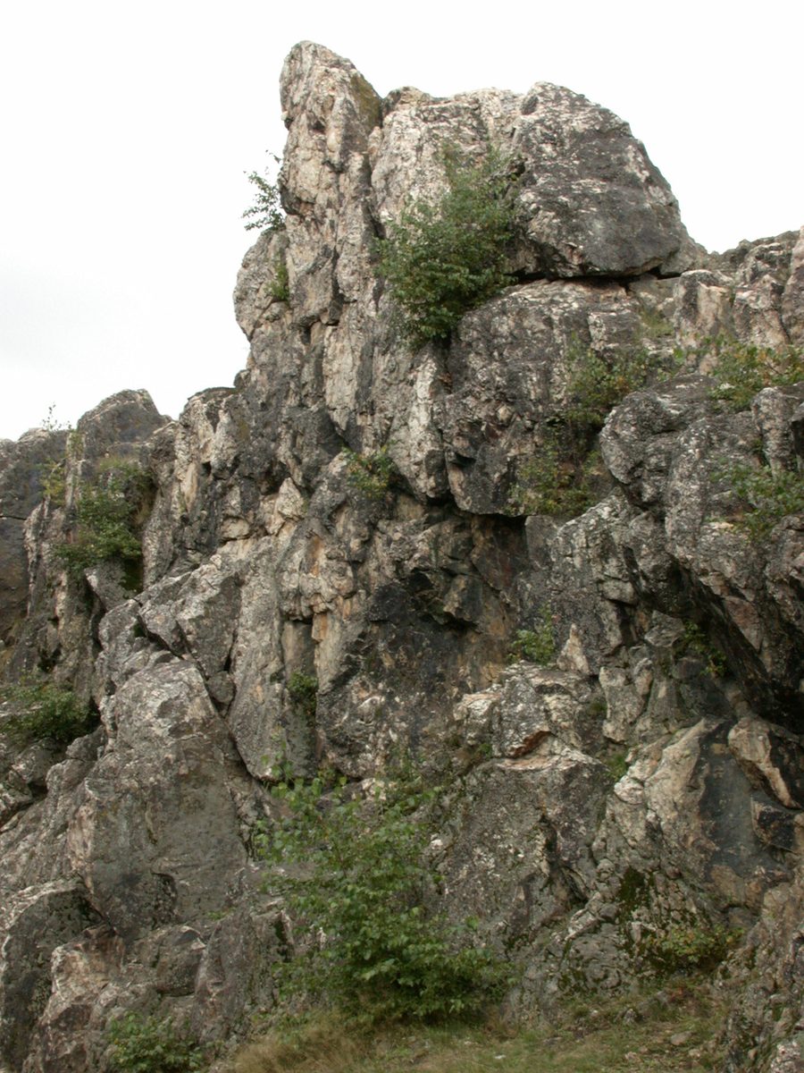 Eschbacher Klippen bei Usingen-Eschbach mit markanter Felsformation und Wald