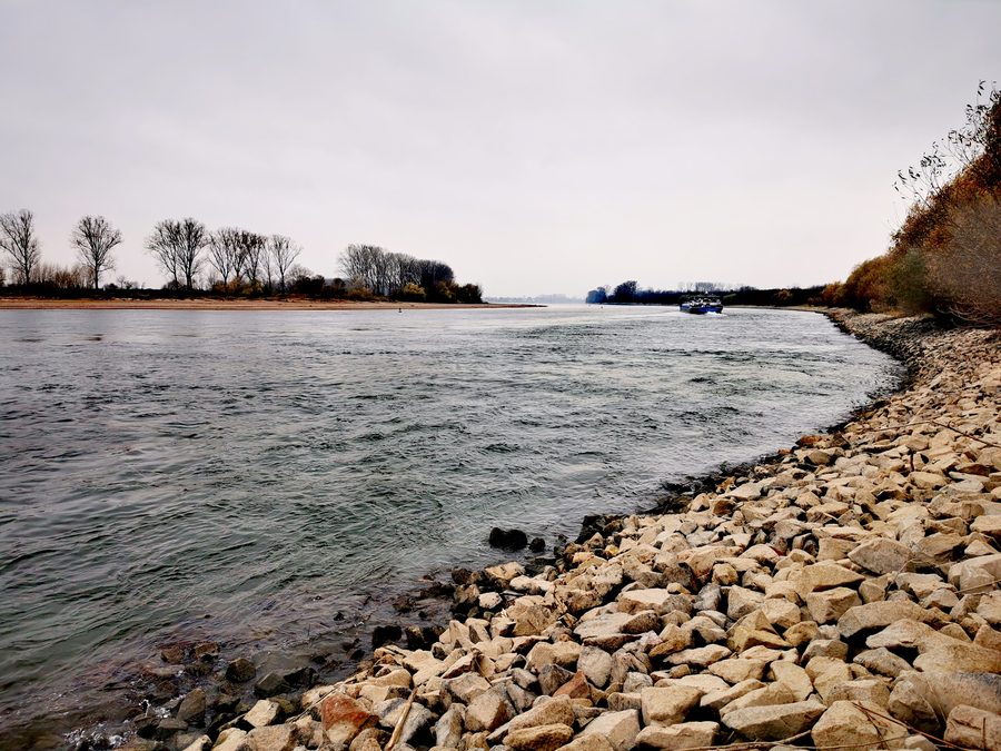 Der Rhein bei Biebesheim bei Niedrigwasser