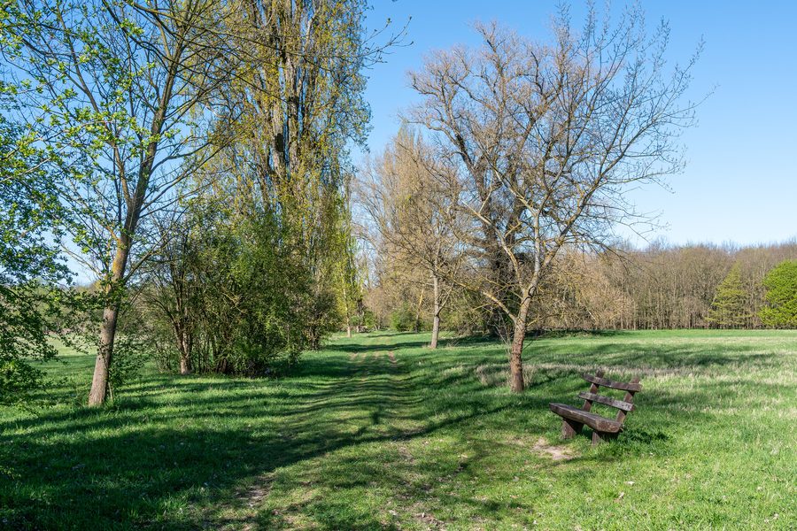 Landschaft in der Bonnaue im Naturschutzgebiet Lampertheimer Altrhein bei Lampertheim