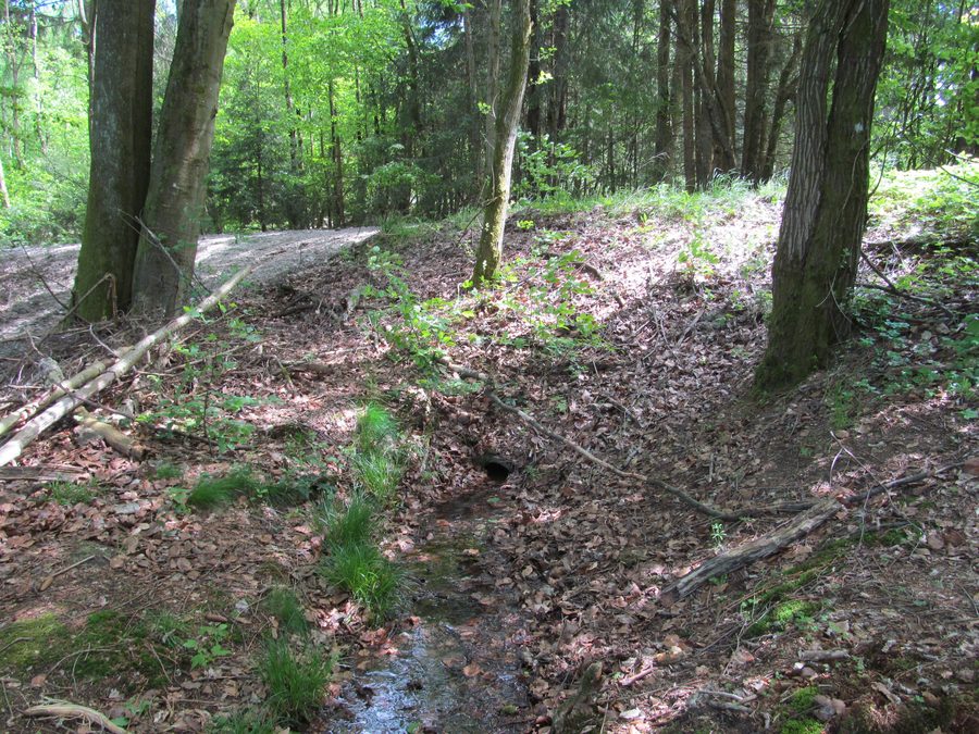 Der Triebbach unterhalb des Seelbacher Wegs bei Taunusstein-Neuhof