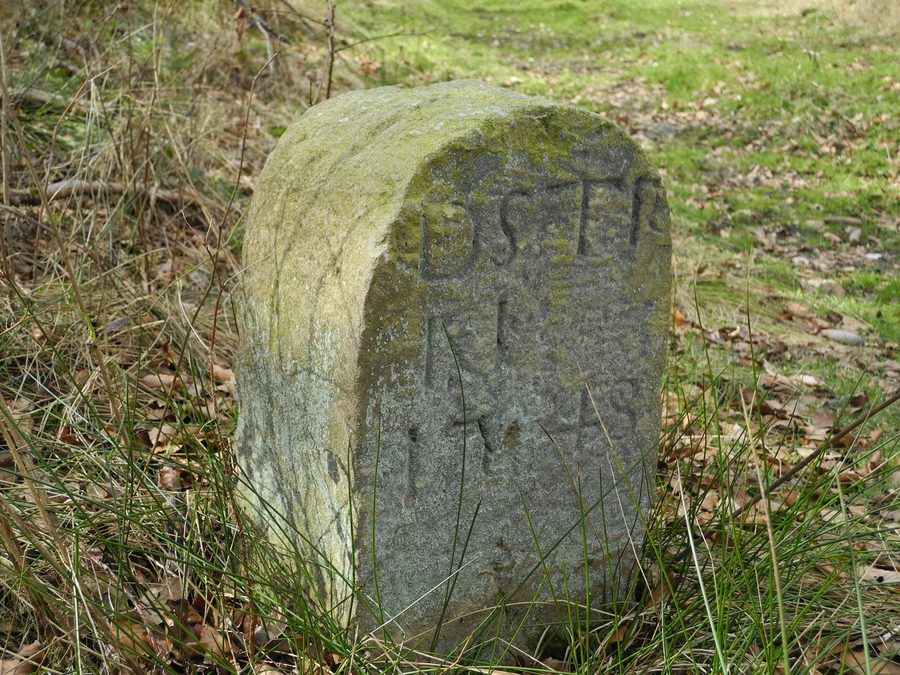 Holzapetal mit Bachlauf, Grünland, Feuchtwiesen und Waldbereichen