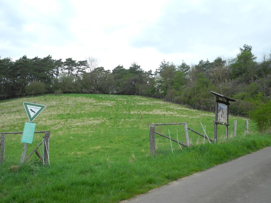 Magerrasen und Gehölze im Naturschutzgebiet Zechsteinhänge bei Lieschensruh nahe Mehlen