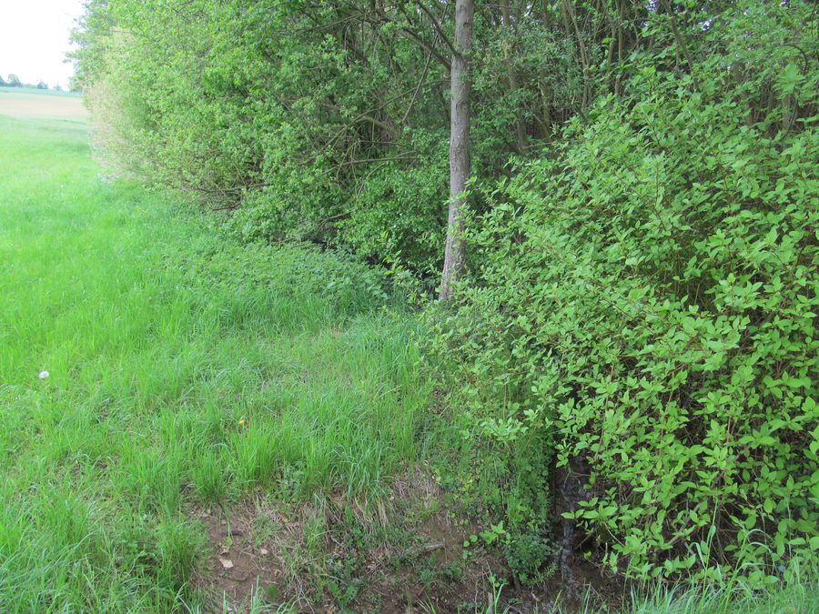 Barmbach am westlichen Ortsrand von Oberbrechen in Brechen