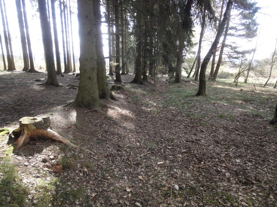 Flacher Wall mit Graben der Schanze an den Eschbacher Klippen