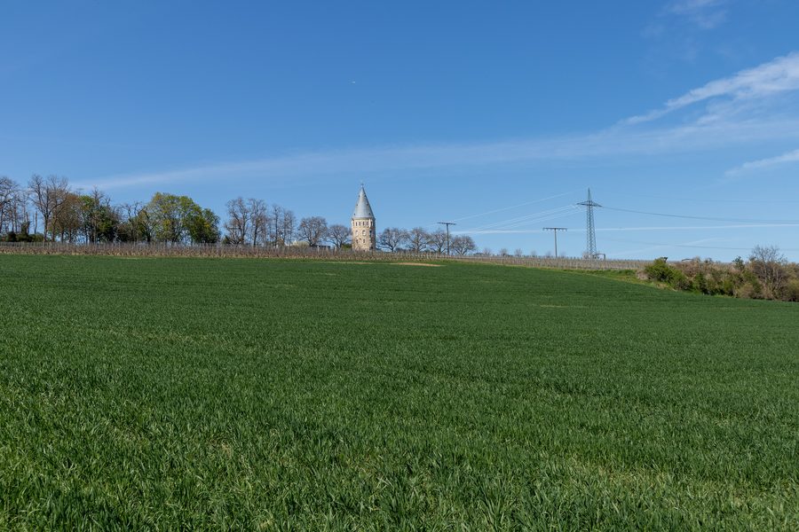 Flörsheimer Warte südlich von Wicker
