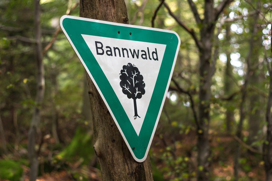 Bannwald-Schild im Naturschutzgebiet Meißner nahe dem Frau-Holle-Teich