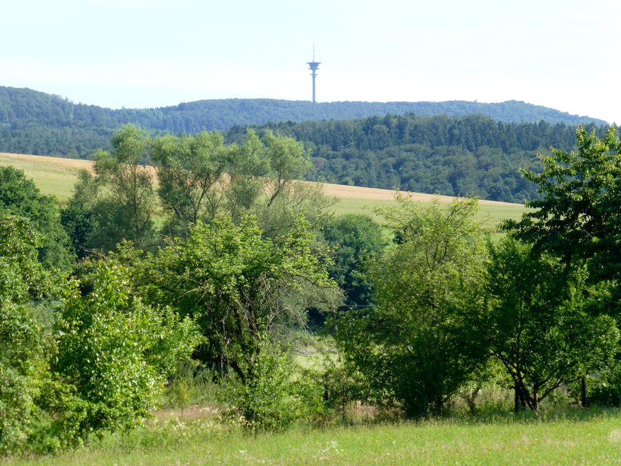 Blick vom östlichen Ortsrand von Wahlshausen zum Eisenberg mit Fernmeldeturm und Borgmannturm