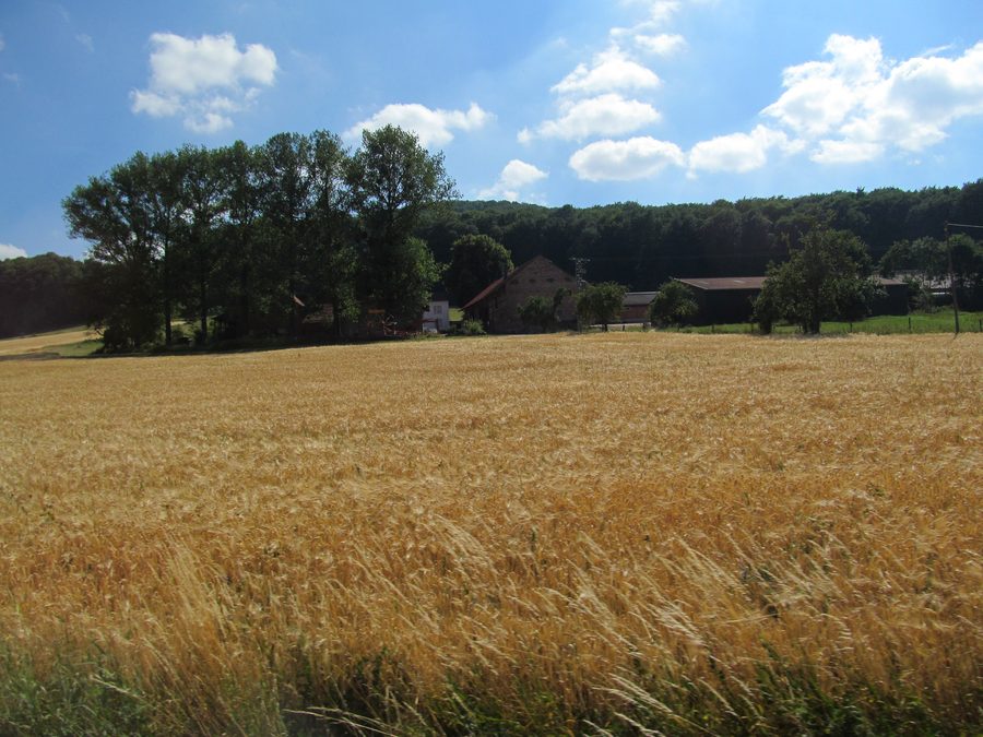 Blick von der Kreisstraße auf den Hof Kahlhausen bei Schenklengsfeld