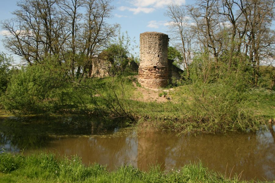 Burgruine Dorfelden in Niederdorfelden, Ansicht von Süden