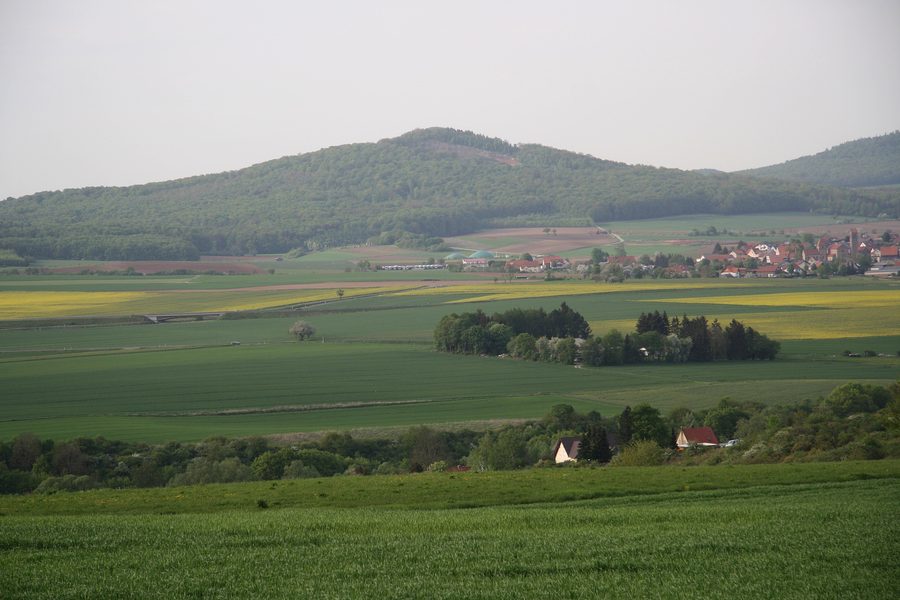 Blick über die Landschaft des Hessischen Kegelspiels bei Großenbach zum Wieselsberg