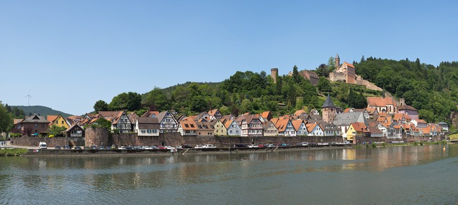 Blick auf den historischen Ortskern von Hirschhorn am Neckar