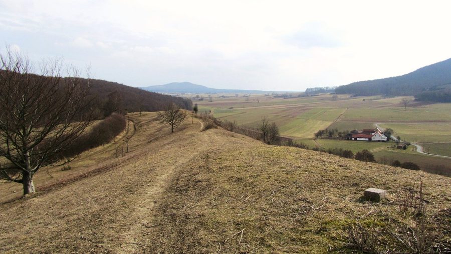 Landschaft im Naturpark Habichtswald mit Gipfelgrat des Festbergs bei Philippinenthal