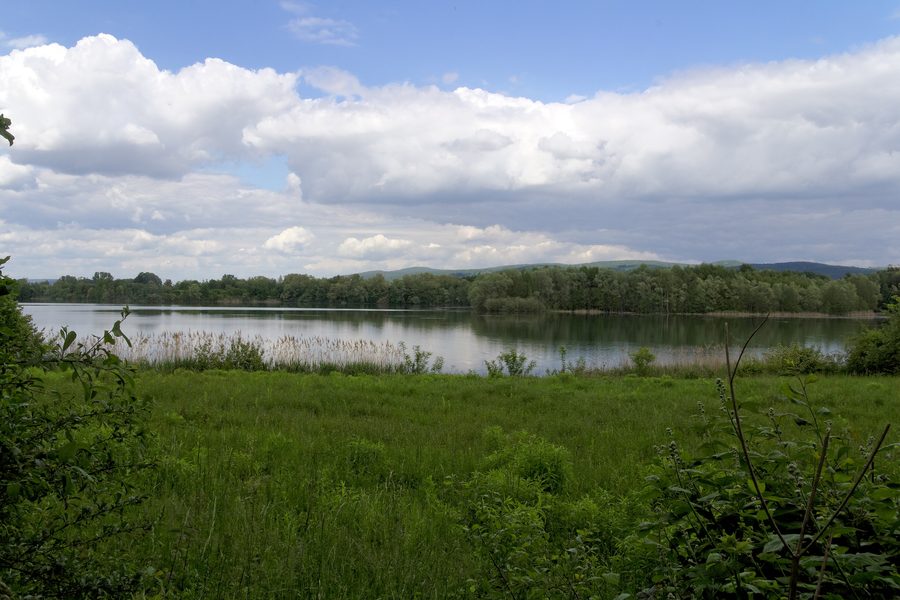 Naturschutzgebiet Bong’sche Kiesgrube und Mainufer bei Mainflingen bei Mainhausen