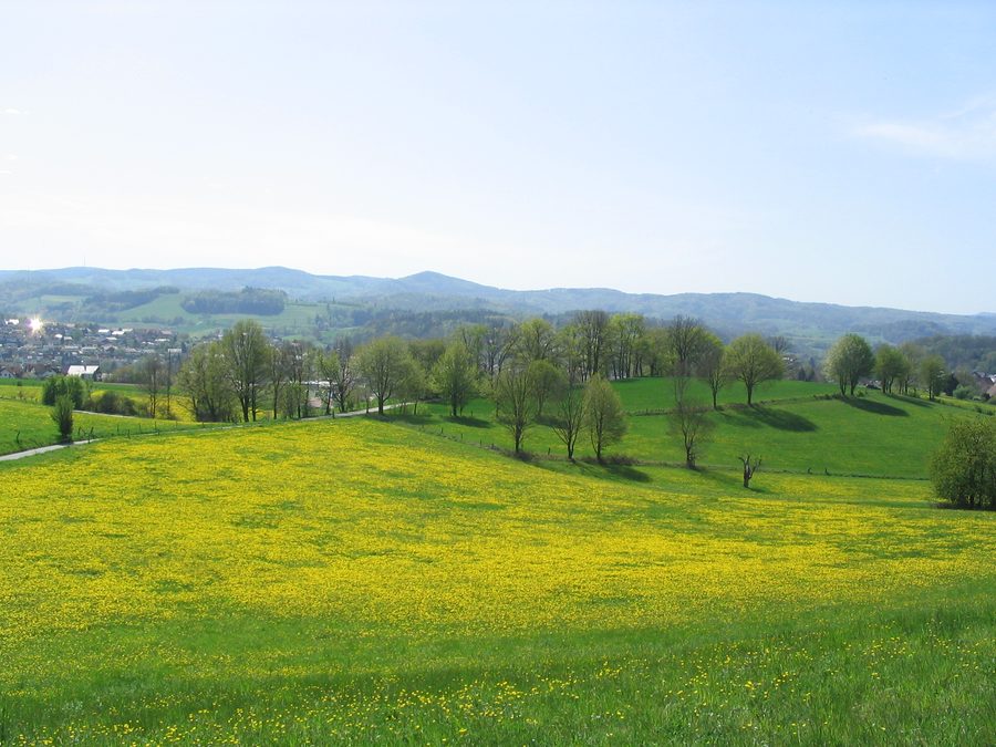 Blick vom Steinböhl auf das Mörlenbacher Weschnitztal im Odenwald