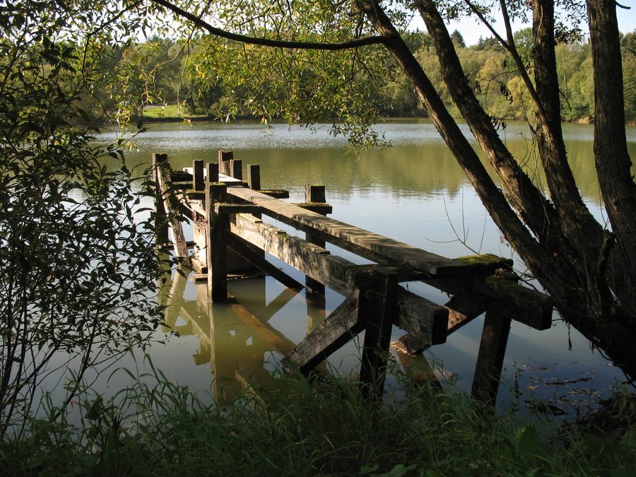 See am Holzwiesenteich in Mücke-Atzenhain, Hessen