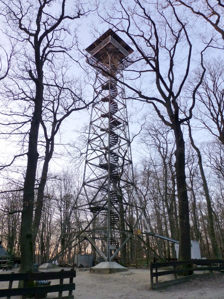Meisterturm auf dem Kapellenberg bei Hofheim am Taunus