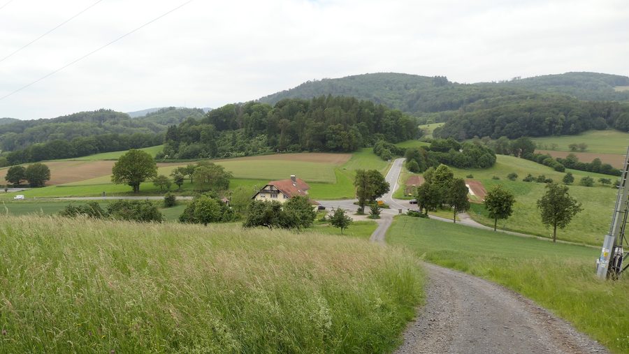 Blick vom Nibelungensteig auf das Gumpener Kreuz im Odenwald
