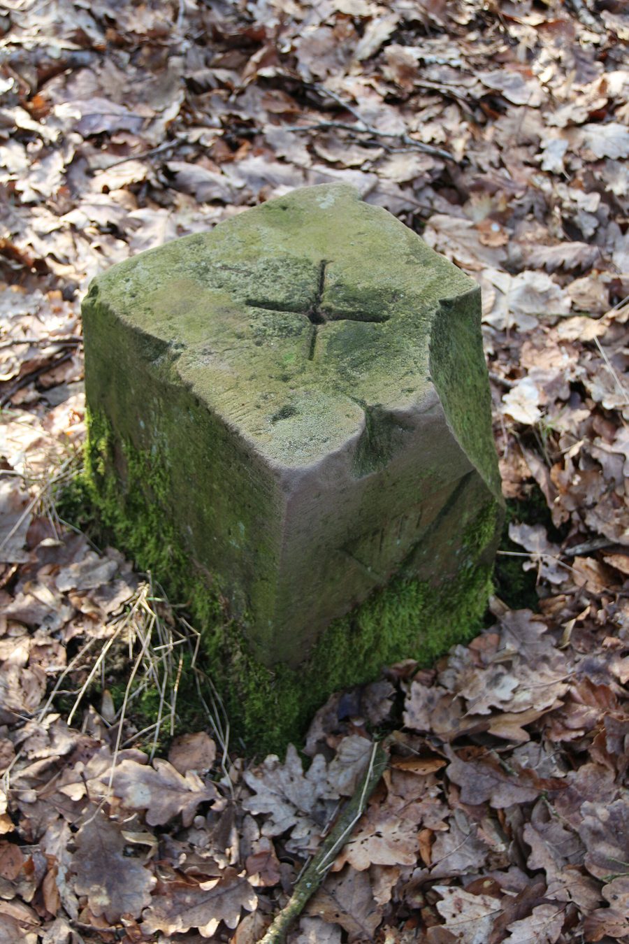 Vermessungspunkt auf dem Kälberg bei Lohra in Hessen