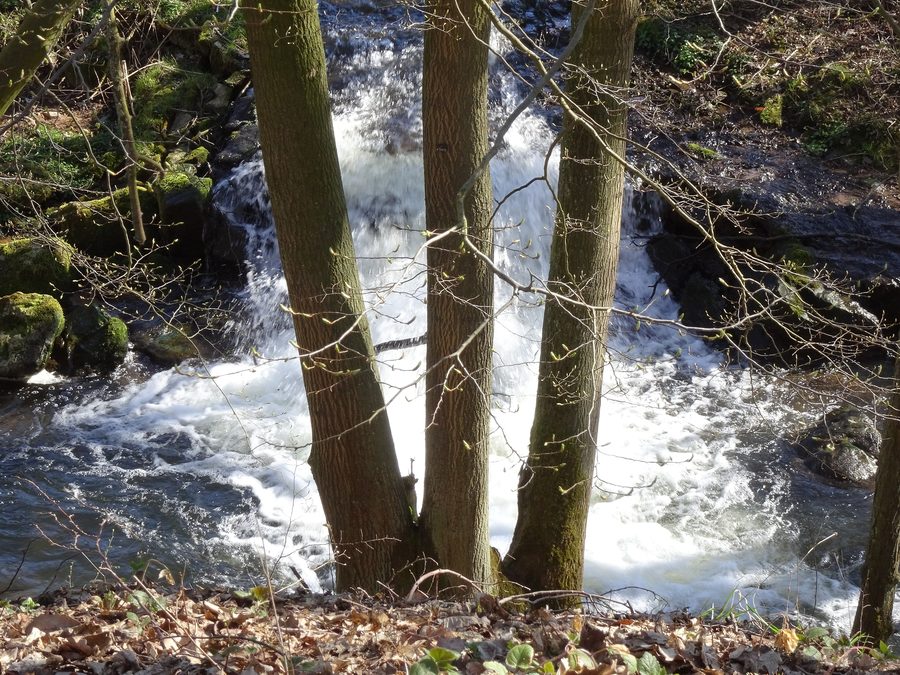 Landschaft des Kaufunger Waldes in Nordhessen