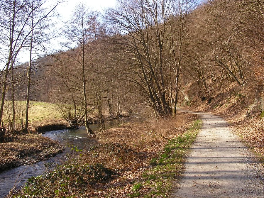 Weiltalweg zwischen Weilrod-Neuweilnau und Rod an der Weil entlang der Weil