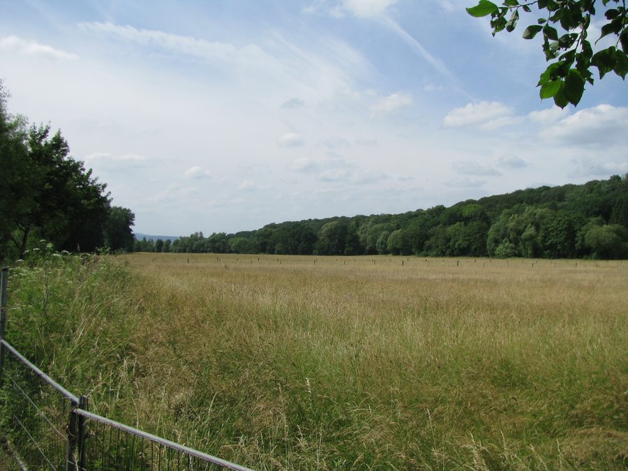 Talaue der Losse in Bettenhausen, Kassel
