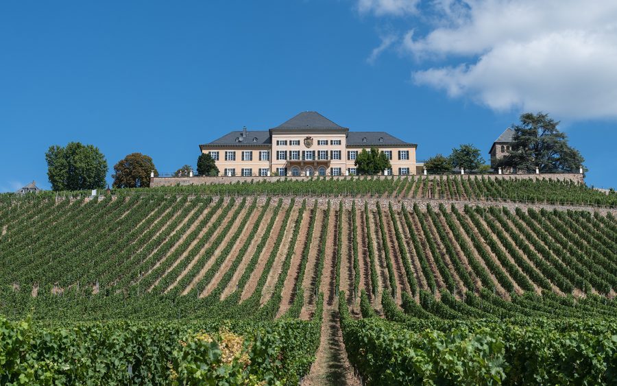 A south view of Schloss Johannisberg
