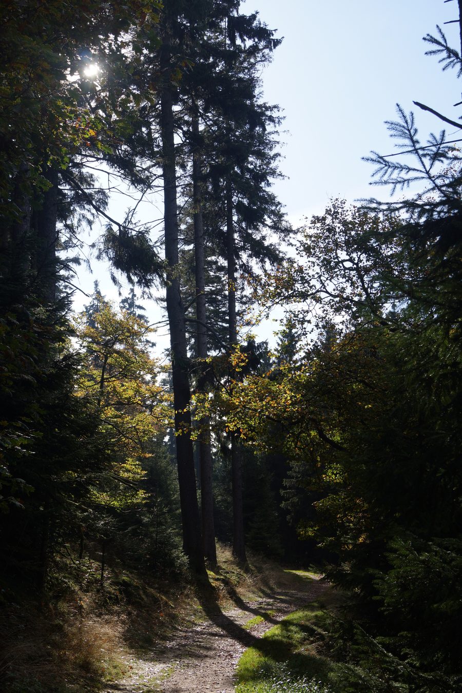 Herbststimmung im Hochtaunus am Nordwesthang des Klingenkopfes Richtung Südwest