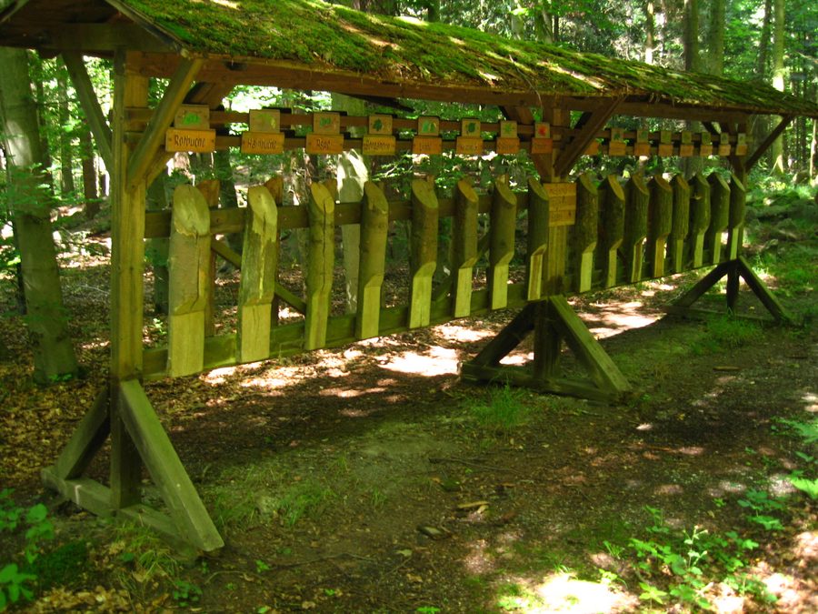 Verschiedene Holzarten im Akademischen Forstgarten Gießen