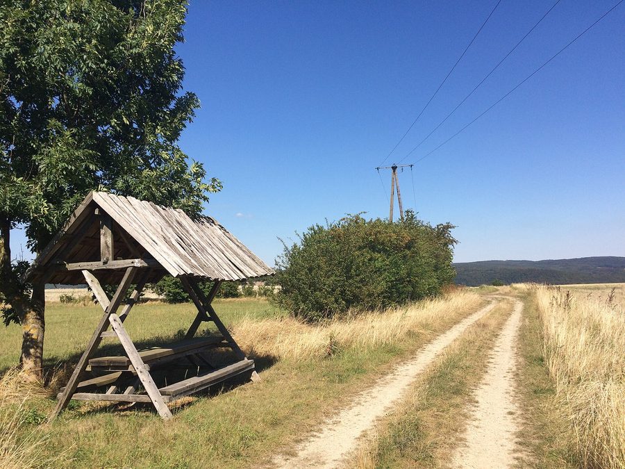 Wanderweg des Werra-Burgen-Steigs zwischen Altefeld bei Herleshausen und Lüderbach im Ringgau