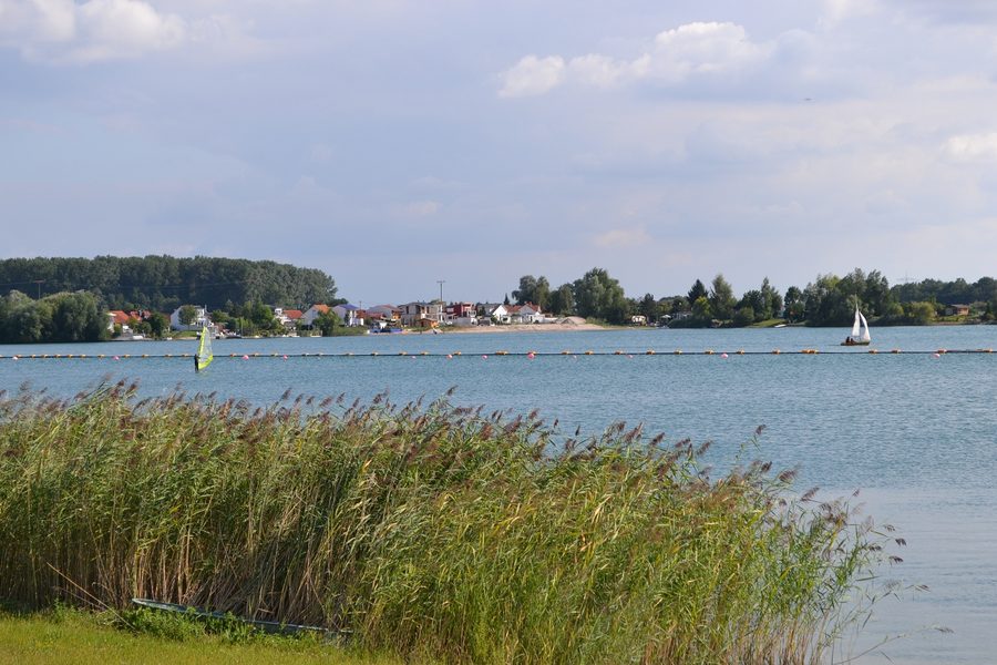 Blick auf den Riedsee bei Biblis