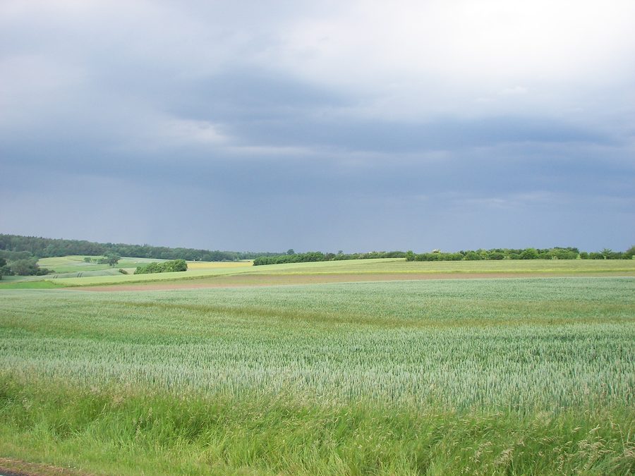 Felder und Waldlandschaft im Burgwald bei Schönstadt in Hessen