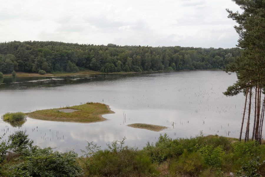Naturschutzgebiet Gehspitzweiher bei Neu-Isenburg mit See und Uferlandschaft