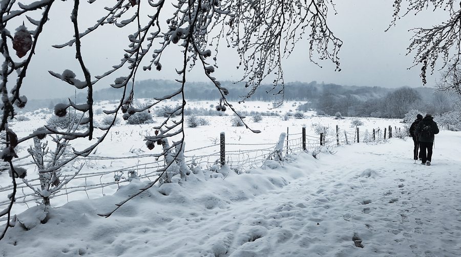 Winterwanderung im Naturpark Habichtswald bei Kassel