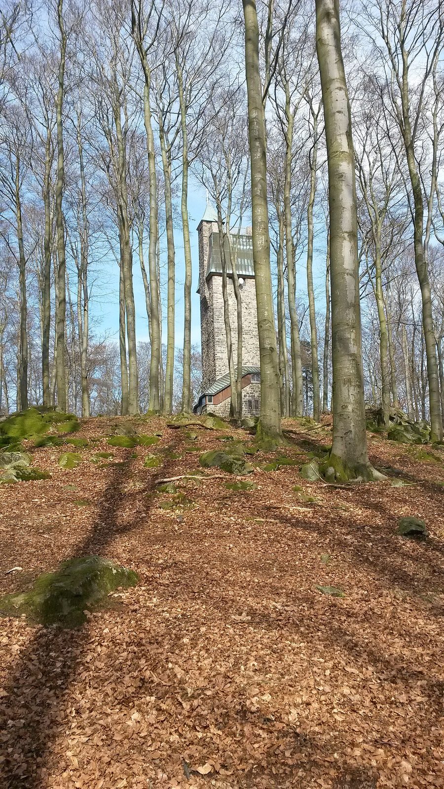 Blick zum Kaiserturm auf der Neunkircher Höhe in Lautertal (Odenwald)
