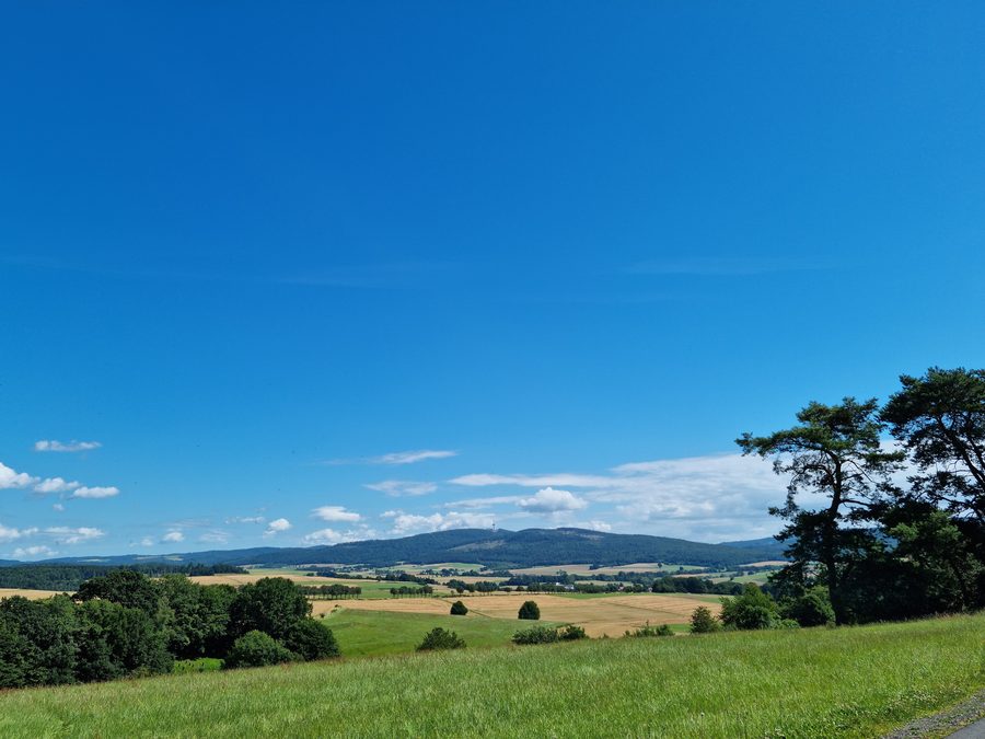 Blick von der Rosenthaler Straße am Waldrand von Gemünden Richtung Hohes Lohr