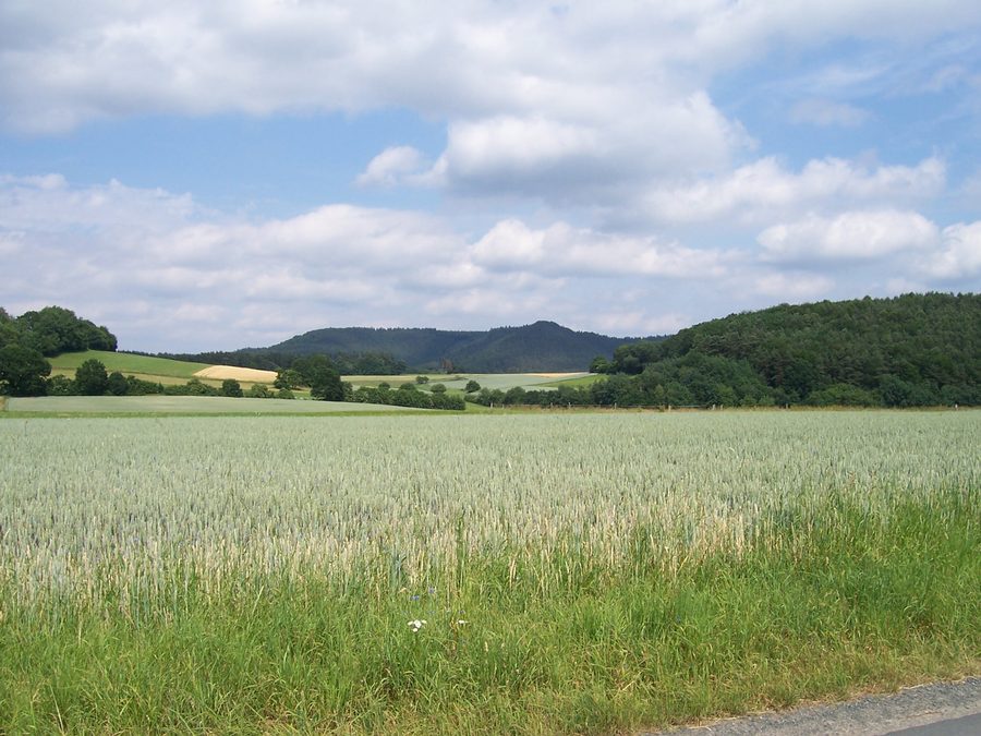 Burgwald bei Oberrosphe mit der Hundeburg im Hintergrund