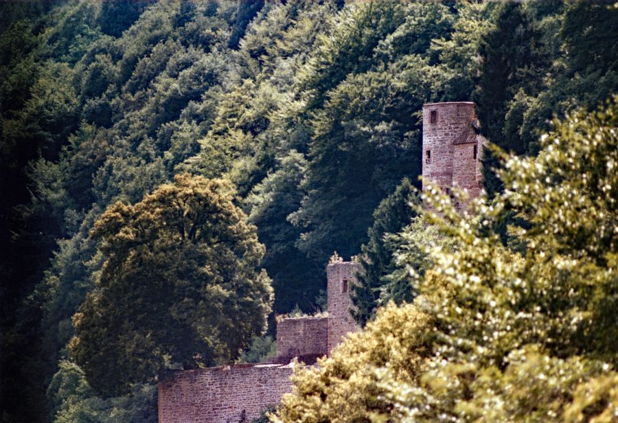 Burgruine Schwalbennest bei der Vierburgenstadt Neckarsteinach