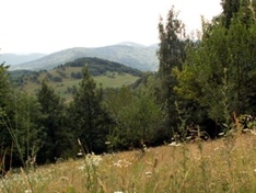 Berglandschaft Hessen