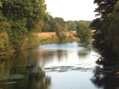 Flusslandschaft