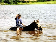 Sport Freizeit Reiten